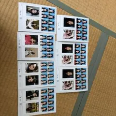 seju証明写真　７枚セット