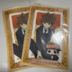 家庭教師ヒットマンREBORN くじメイト C賞 箔押し風クリアカード 沢田綱吉