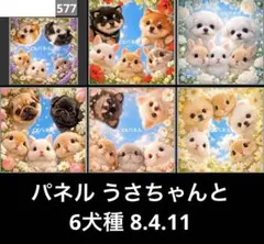 オーダーページ パネル うさちゃんと6犬種 8.4.11