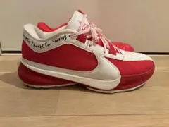 Nike Zoom バスケットボールシューズ レッド/ホワイト