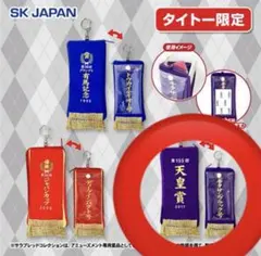 Item thumbnail for item 5b13b659-d2d4-4f55-9d28-f0c26cff3ed9