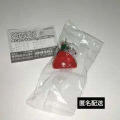 スヌーピー めじるしアクセサリー FUNNYver. スヌーピー C