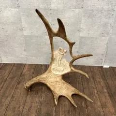 2025年最新】鹿の角 オブジェの人気アイテム - メルカリ