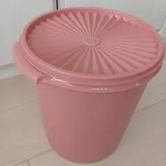 2026年最新】タッパーウェアマキシデコレーターの人気アイテム - メルカリ