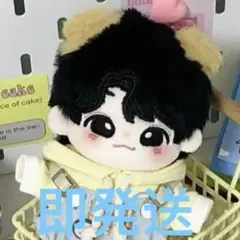 即発送 10cm ENHYPEN ジェイク JAKE ぬいぐるみ本体