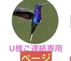 U様連絡用専用ページ　2箱　新品