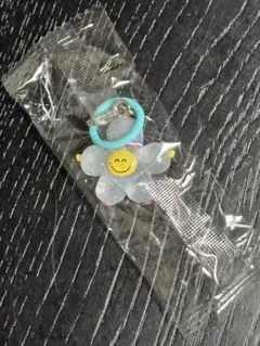 TRUZ ROMY めじるしアクセサリー ジフン treasure