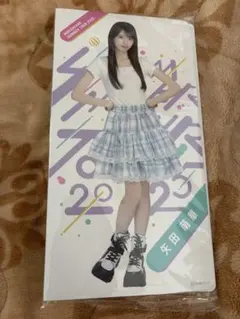 矢田萌華 アイドル