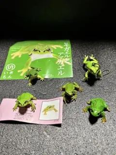 カエル カプセルトイ