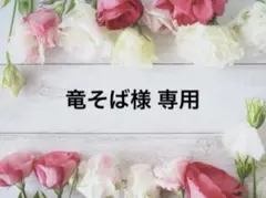 竜そば様 リクエスト 5点 まとめ商品