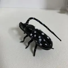 リアルな昆虫フィギュア 黒と白の斑点