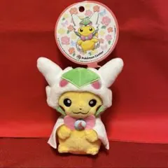 2026年最新】メガサーナイト ポンチョの人気アイテム - メルカリ