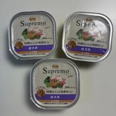 Item thumbnail for item ed672bb9-98af-4da5-85a5-9a0967ccccab