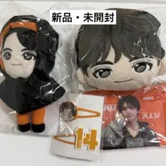 超特急 ハル Joker ぬいぐるみ ミニペンライト 超特急 ハル Joker マスコット ぬい Rib ミニペンライト ストラップ