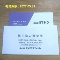 アンドエスティHD 株主優待券 2500円分のサムネイル