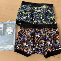 Item thumbnail for item 29860cb2-42f9-4b4f-8e68-13adfb7c401e