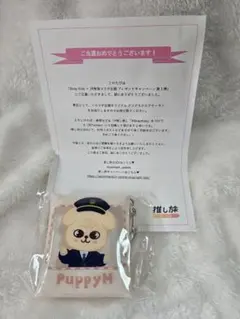 スキズ Stray Kids SKZOO 推し旅 パピーム クリアスクエアケース