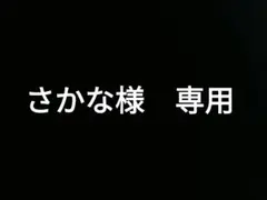 Item thumbnail for item 5d4d6b1f-649a-4dbb-b82a-20f4f24d4da2