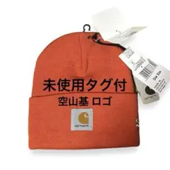 carhartt wip 完売品 空山基 ロゴ 2G カーハート ニットキャップ