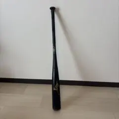 Item thumbnail for item 51c773ea-a62b-40b5-ba5f-02c63f9db724