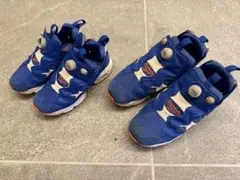 Reebok INSTAPUMP FURY ブルー ポンプフューリー セット