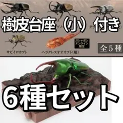 オンライン限定いきもの大図鑑 かぶとむし０９、１０樹皮台座（小）付き6種セット