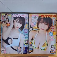 ヤングアニマル No.17 DVD付録