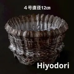 波浪〜Hiyodori〜 6号直径18㎝ 3dプリンター鉢 作家鉢 アガベ - メルカリ