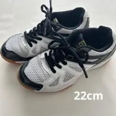 IGNIOバレーボールシューズ22cm