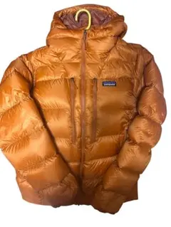 patagonia フィッツロイダウンフーディー　希少カラー