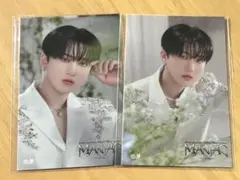 stray kids MANIAC ステッカー チャンビン