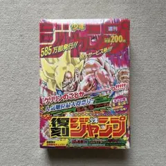 復刻版 週刊少年ジャンプ パック3 1991年21・22合併号 - メルカリ