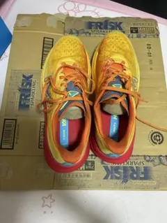 HOKA MACH 6 マッハ 28cm