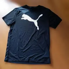 プーマ　トップス