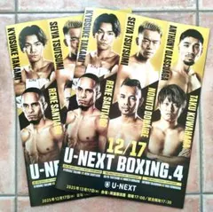 【《新品２冊・美品》《来場者限定パンフレット》堤聖也VSノニト・ドネア】