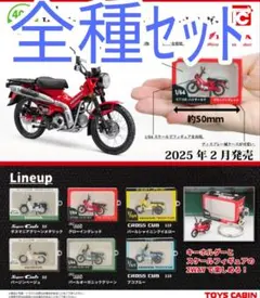全種セット【新品未使用】1/64 Honda Cub フィギュアキーホルダー