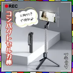 Item thumbnail for item 030d7524-23fd-45af-95a3-6548b81055da