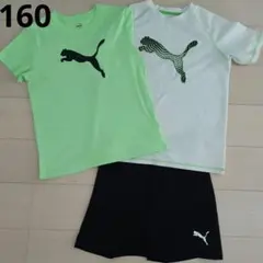 プーマ　Tシャツパンツ　３点セット　160