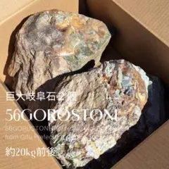 【COFFEE】桜島産軽石鉢 × 火星人 / 一点物 COFFEE】桜島産軽石鉢 × 火星人 / 一点物 - メルカリ
