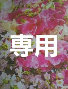 ぶーちゃん様専用4点おまとめ