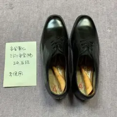 ミドリ安全(株) 事務用 安全靴のサムネイル