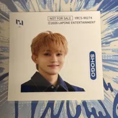 田島将吾　pulse ステッカー