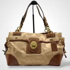 極美品✨ Y2K Coach Handbag Python Signature