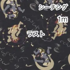 ラスト 1m 風神雷神 黒 シーチング