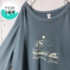 ALTERNATIVE メンズ プリント スウェット XL ビッグサイズ 古着