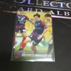 2026年最新】佐藤龍之介の人気アイテム - メルカリ