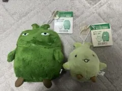 2026年最新】キッコロ ぬいぐるみの人気アイテム - メルカリ