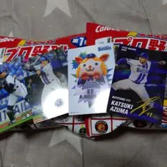 カルビープロ野球チップスカード2026