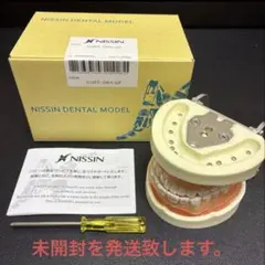 印象用顎模型E18-SW.P.28 下顎 全て未形成歯 - メルカリ