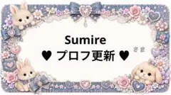 専用